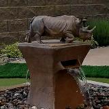 Rhino Fountain